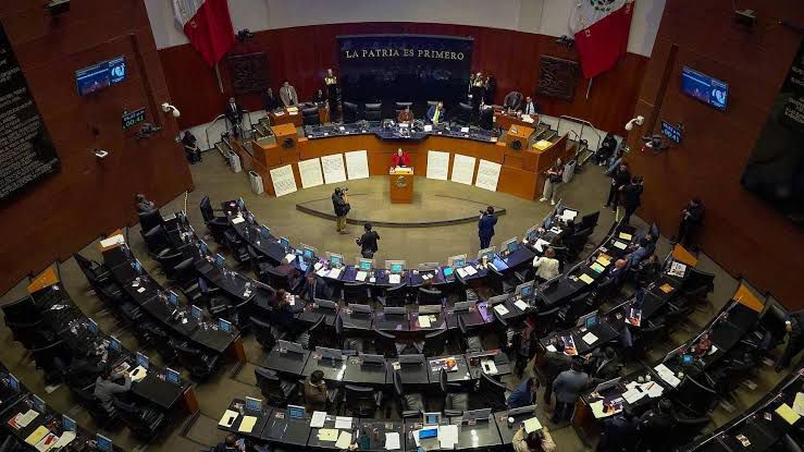 Senado aprueba terna para la CNDH entre críticas y&nbsp;división