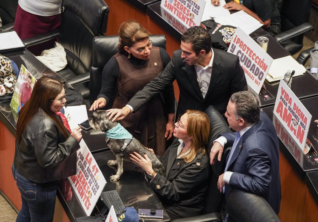 Gino Segura apoya reforma que protege el bienestar&nbsp;animal