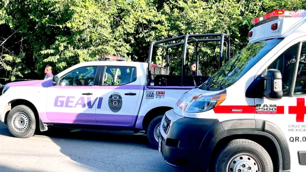 Niño encuentra a un bebé recién nacido abandonado en un parque en&nbsp;Cancún