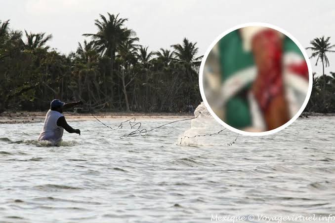 Hombre sufre ataque de tiburón mientras pescaba en playa de&nbsp;Tulum
